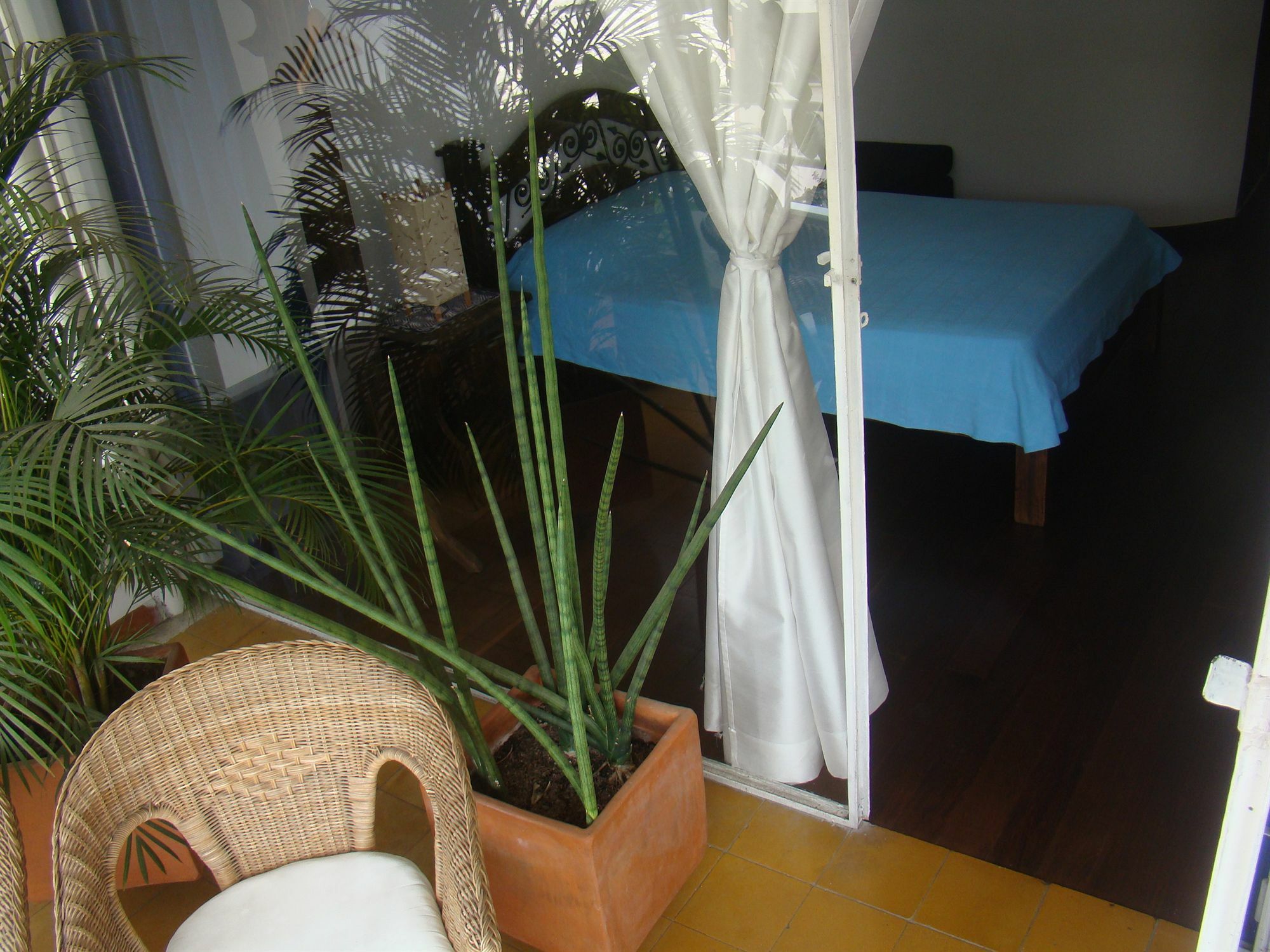 Casa Hotel Jardin Azul カリ エクステリア 写真